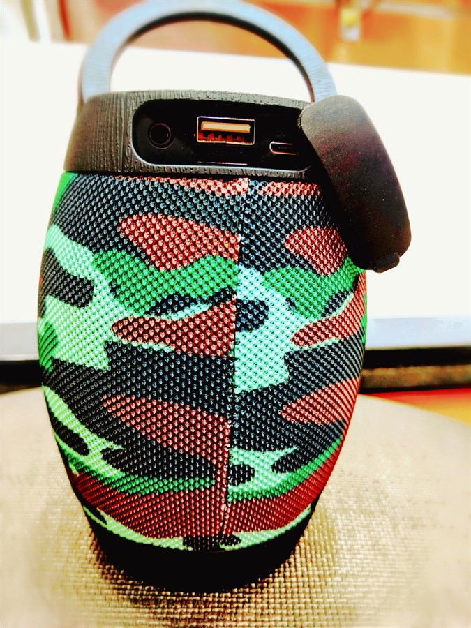 DV-10 Portable Wireless Speaker