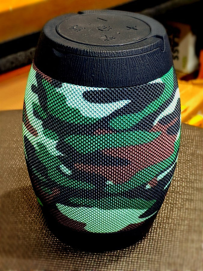 DV-10 Portable Wireless Speaker